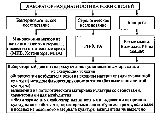 диета и лунные дни