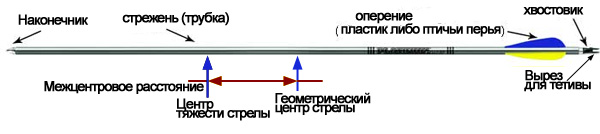Стрельба из лука для начинающих