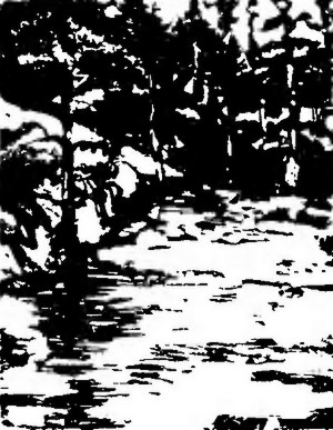 Великий путешественник. Жизнь и деятельность Н. М. Пржевальского, первого исследователя природы Центральной Азии