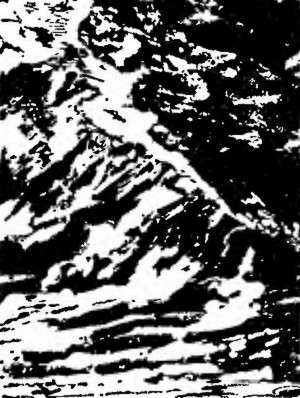 Великий путешественник. Жизнь и деятельность Н. М. Пржевальского, первого исследователя природы Центральной Азии