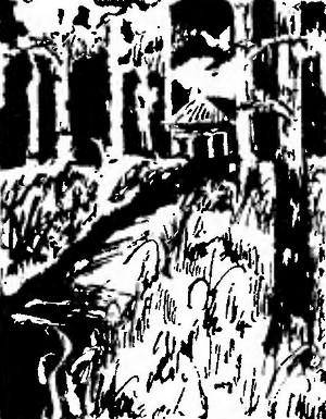 Великий путешественник. Жизнь и деятельность Н. М. Пржевальского, первого исследователя природы Центральной Азии