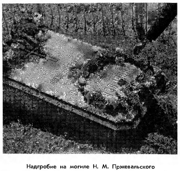 Великий путешественник. Жизнь и деятельность Н. М. Пржевальского, первого исследователя природы Центральной Азии