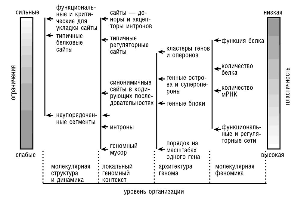 Логика случая. О природе и происхождении биологической эволюции