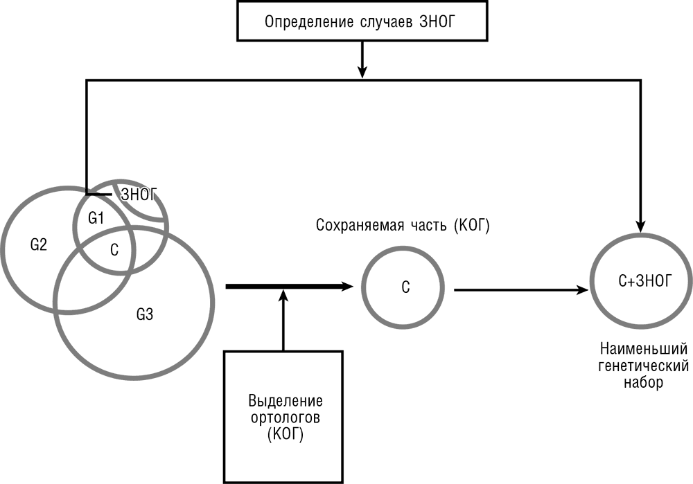 Логика случая. О природе и происхождении биологической эволюции
