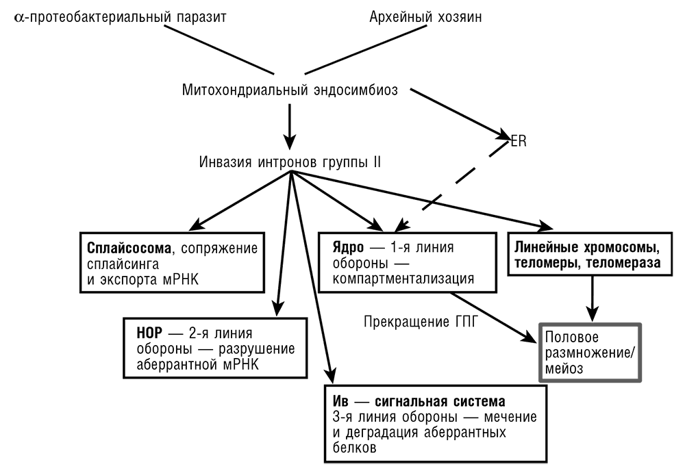 Логика случая. О природе и происхождении биологической эволюции