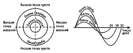 Восхождение к Дао