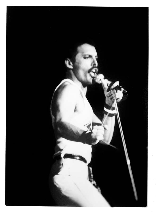 Queen. Все тайны Фредди Меркьюри и легендарной группы