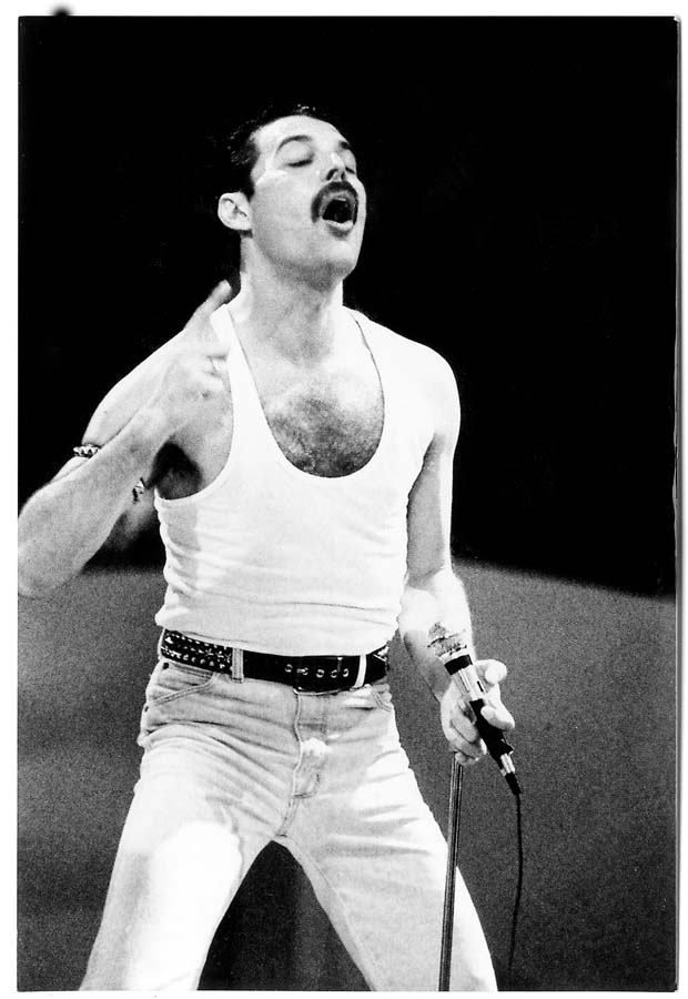 Queen. Все тайны Фредди Меркьюри и легендарной группы