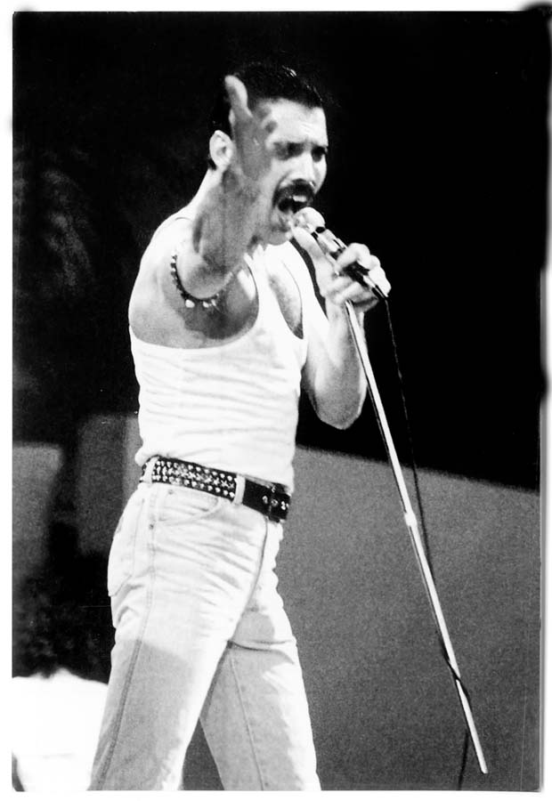 Queen. Все тайны Фредди Меркьюри и легендарной группы