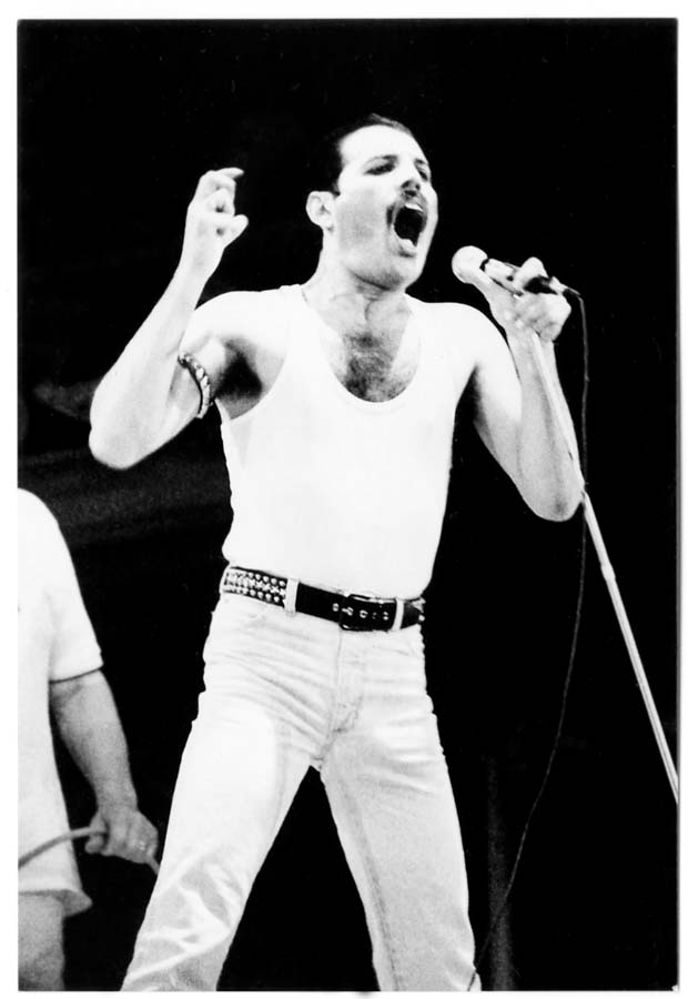 Queen. Все тайны Фредди Меркьюри и легендарной группы