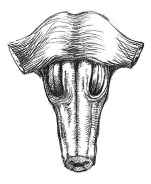 Кроха
