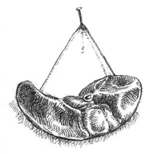 Кроха