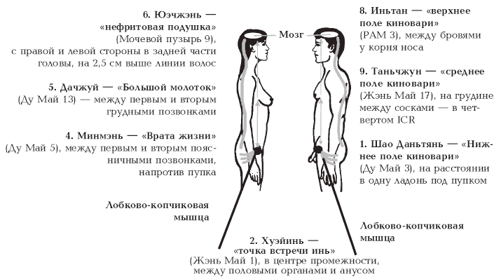 Секреты любви. Даосская практика для женщин и мужчин