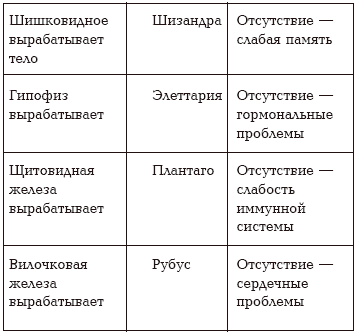Секреты любви. Даосская практика для женщин и мужчин