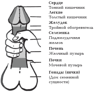 Секреты любви. Даосская практика для женщин и мужчин
