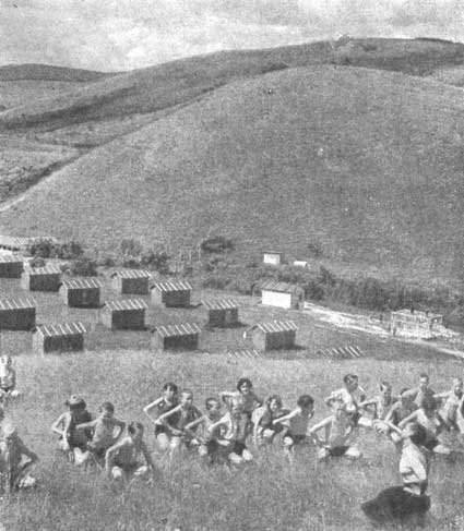 Артек