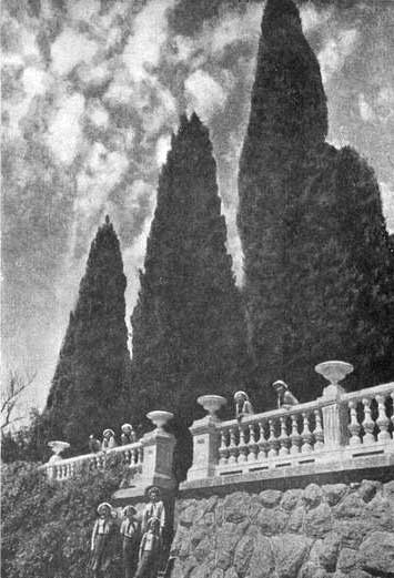 Артек