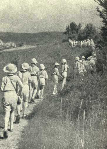 Артек