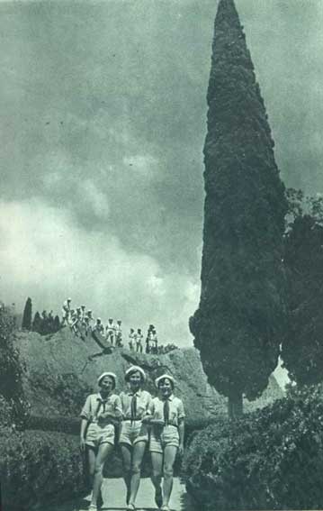 Артек