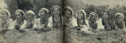 Артек
