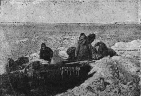 На самолете в Восточной Арктике