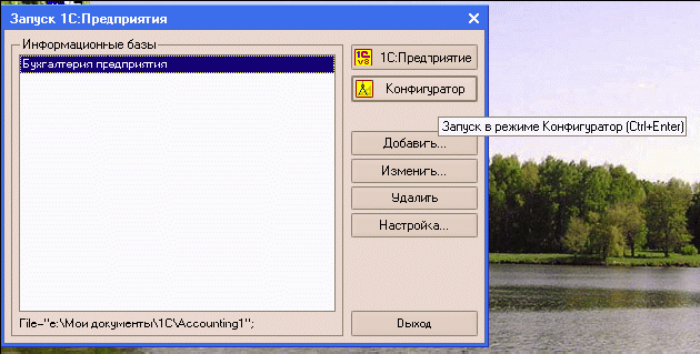 1C: Бухгалтерия 8.0. Практический самоучитель