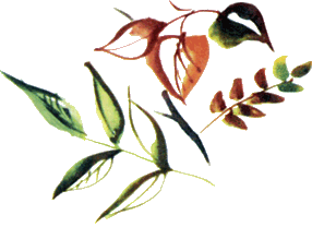 Байкала-озера сказки Том I разд.2