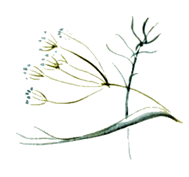 Байкала-озера сказки Том I разд.2