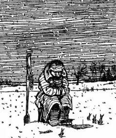 Год рыболова