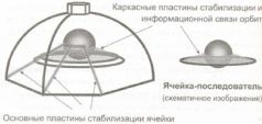 Книга Живы