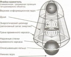 Книга Живы