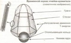 Книга Живы