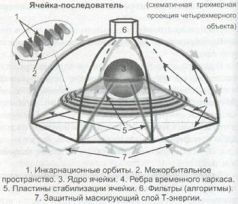 Книга Живы
