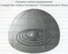 Книга Живы