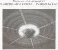 Книга Живы
