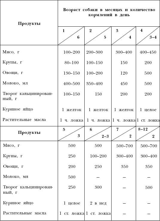 Кормление собак