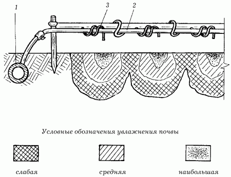 Системы полива