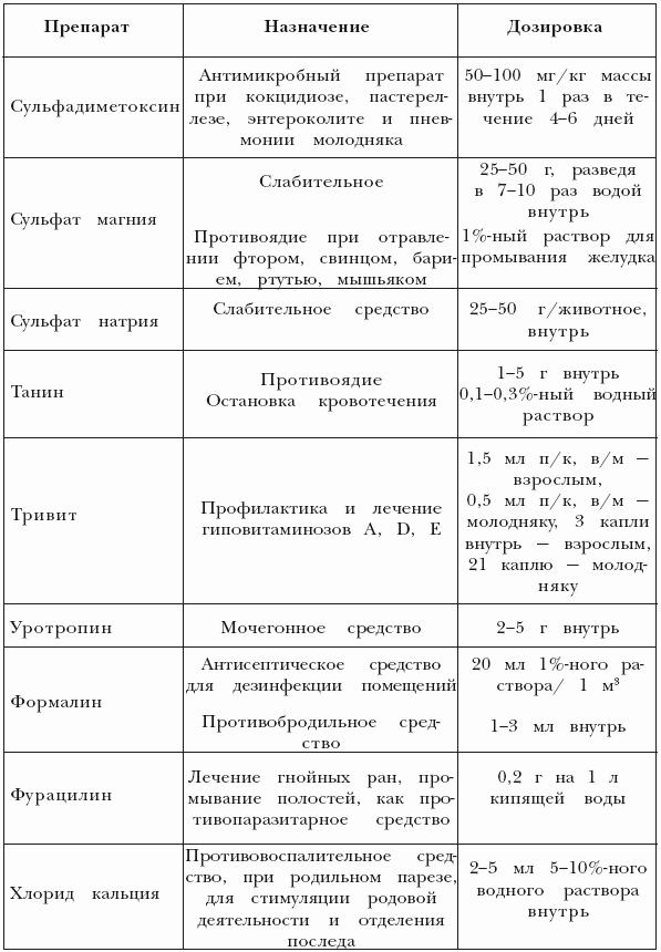 Болезни свиней