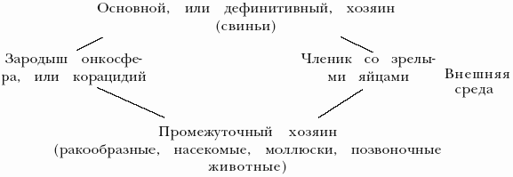 Болезни свиней