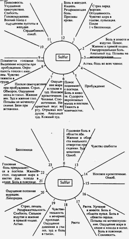 Гомеопатия. Часть I. Основные положения гомеопатии