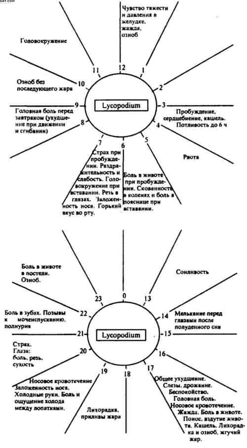 Гомеопатия. Часть I. Основные положения гомеопатии