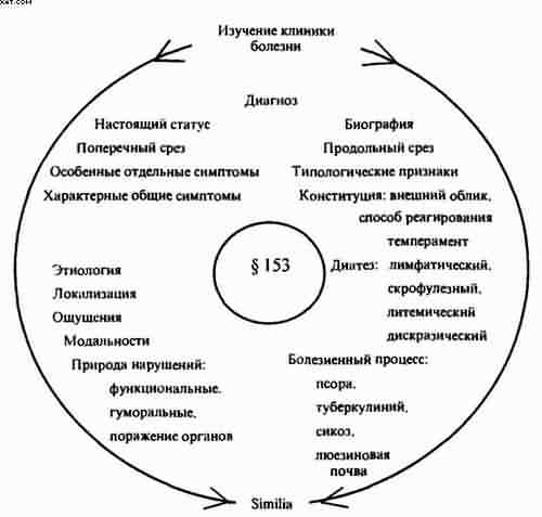 Гомеопатия. Часть I. Основные положения гомеопатии