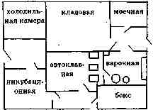 Выращивание грибов