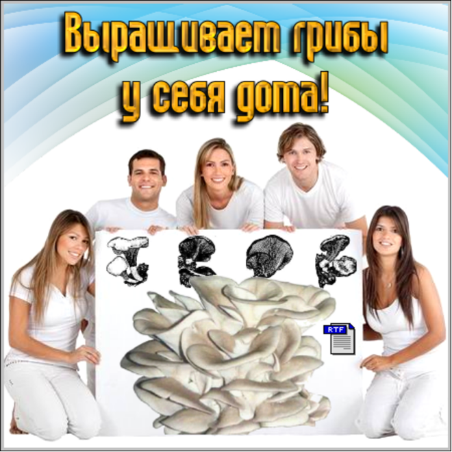 Выращивание грибов