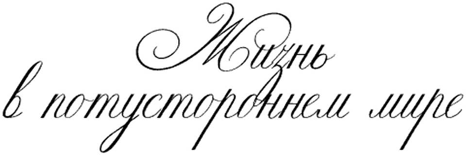 Жизнь после смерти