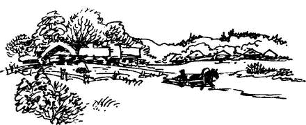 На теплой земле (сборник)