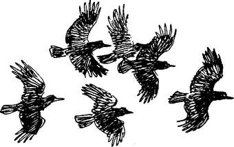 На теплой земле (сборник)