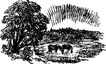 На теплой земле (сборник)