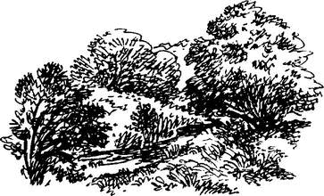 На теплой земле (сборник)