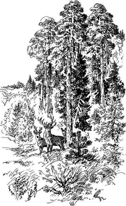 На теплой земле (сборник)